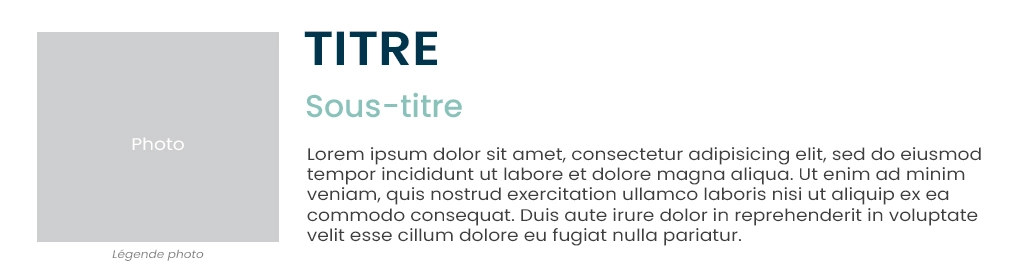 L'importance de la hiérarchie visuelle en graphisme : savoir organiser titres, sous-titres, textes et images dans une mise en page
